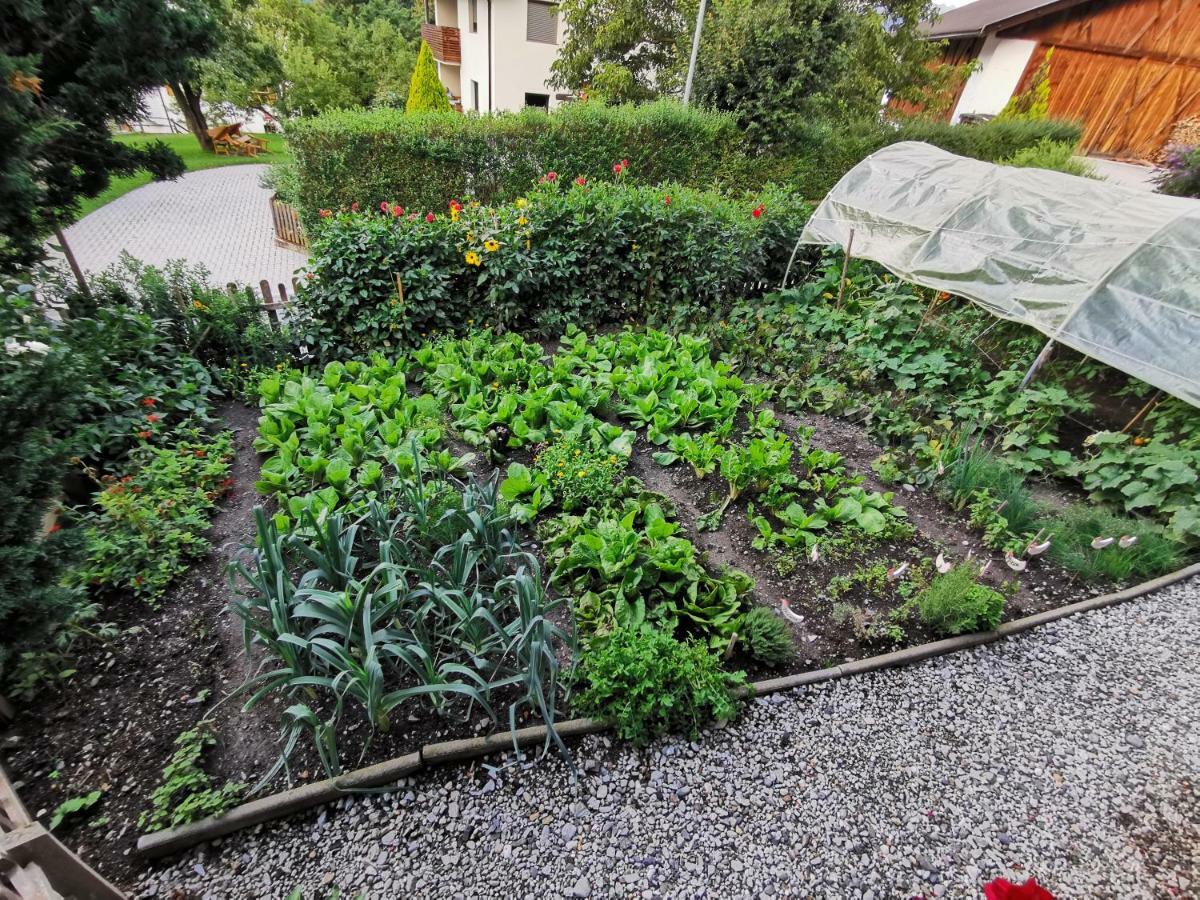 Hörmannhof Brixen Exteriör bild